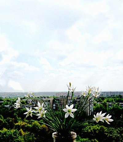 floare