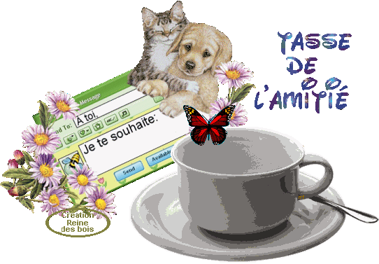 TRES BELLE IMAGE