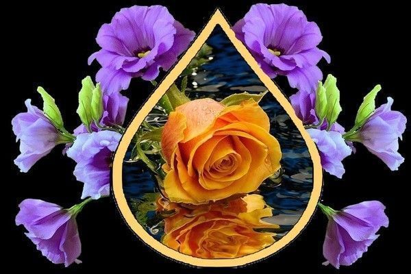 floare